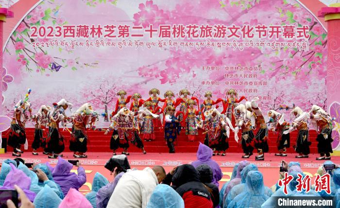 3月28日，西藏林芝第二十屆桃花旅游文化節(jié)開幕式上的文藝表演。　李林 攝