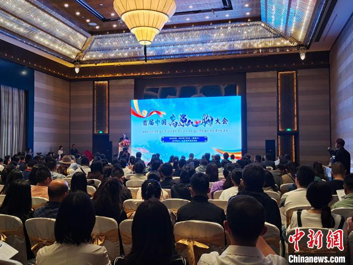 圖為首屆中國高原心胸大會現(xiàn)場?！☆D旦旺姆 攝