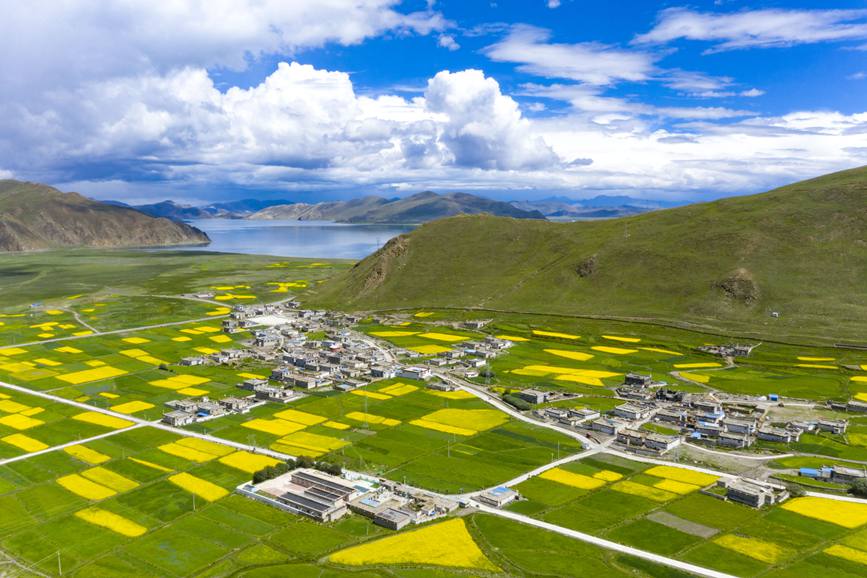 航拍道布龍村，依山傍水，阡陌縱橫。