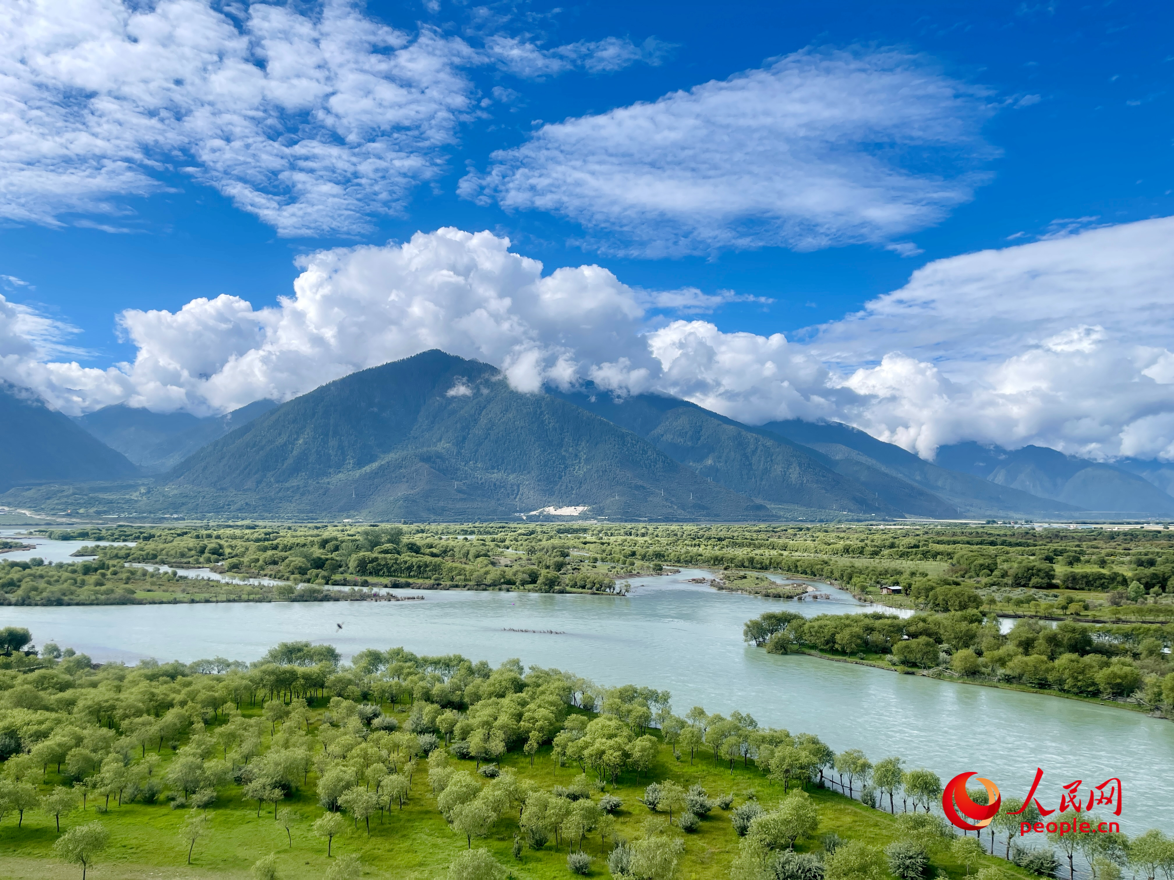 夏日的雅尼國家濕地公園生機盎然，如詩如畫。人民網(wǎng) 周靜圓攝