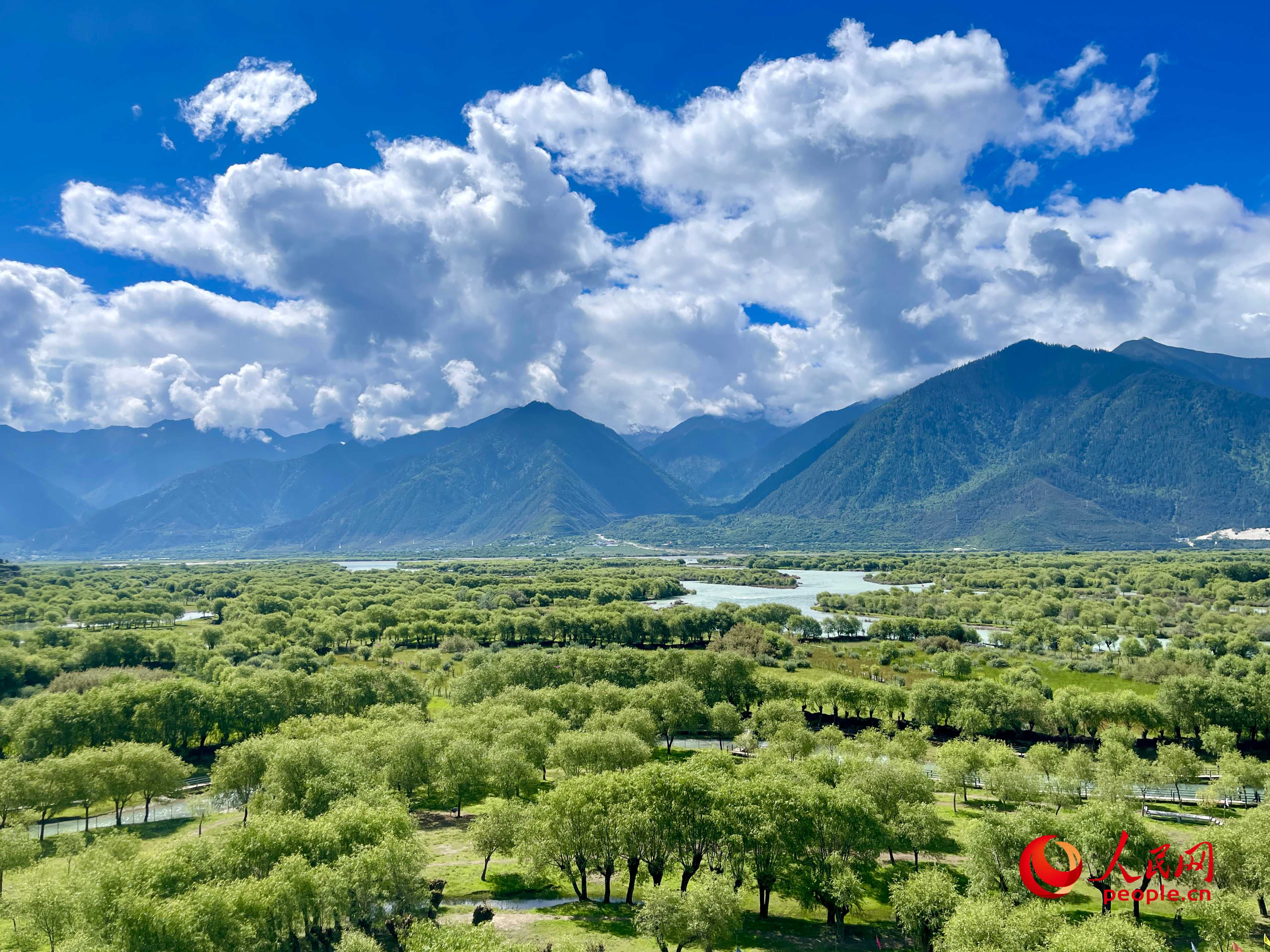 夏日的雅尼國家濕地公園生機盎然，如詩如畫。人民網(wǎng) 周靜圓攝