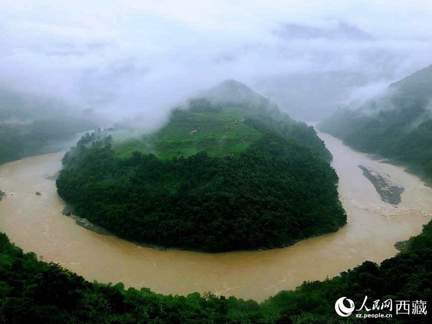 雅魯藏布江大峽谷蛇形拐彎處，山坡上種滿茶樹。