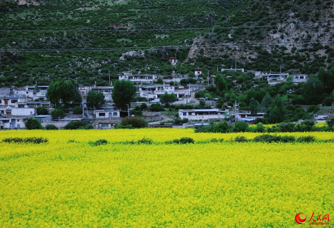 鄉(xiāng)村振興美好畫(huà)卷。人民網(wǎng) 李海霞攝