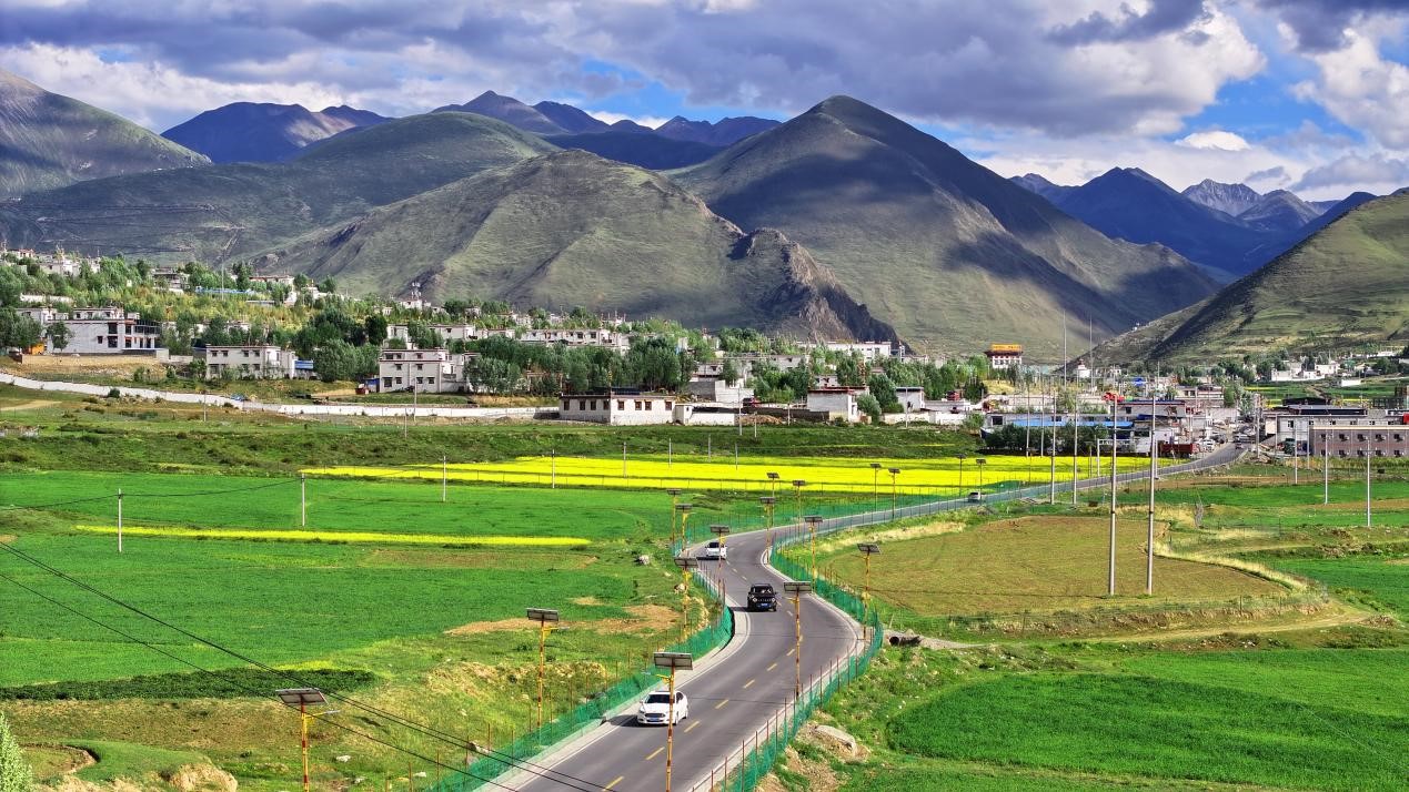 油菜花開(kāi)“金”滿(mǎn)地。墨竹工卡縣委宣傳部 洛克攝
