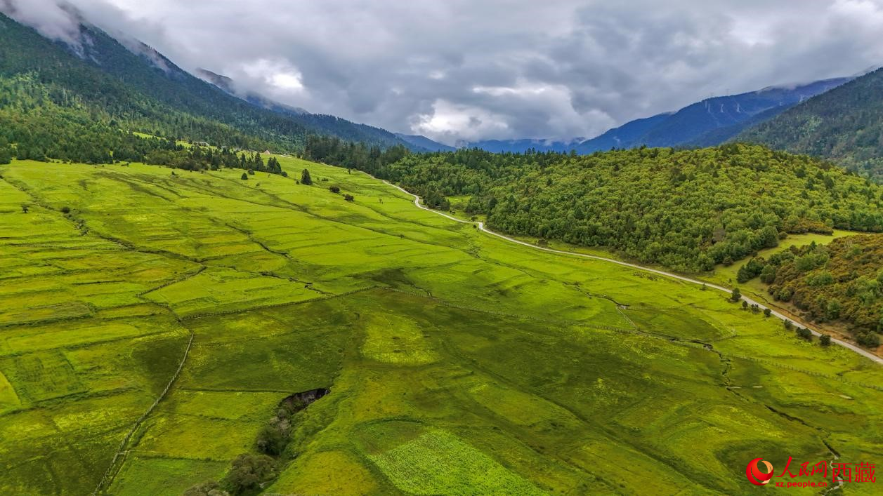 圖為航拍高山牧場鳥瞰圖。人民網(wǎng)記者 次仁羅布攝
