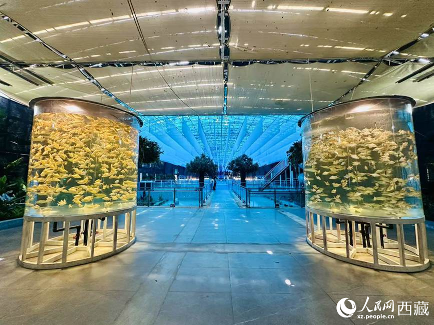 西普海洋公園。人民網記者 次仁羅布攝