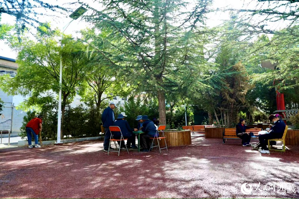 老人們在綠樹成蔭的“社區(qū)會客廳”中對弈休憩。人民網(wǎng)記者 次仁羅布攝