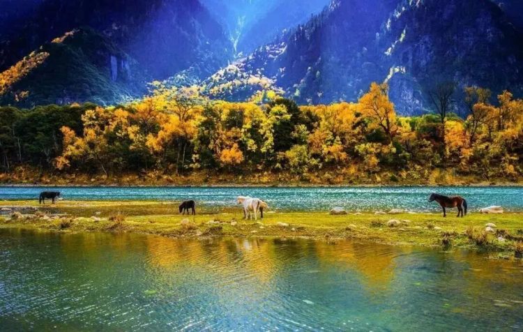 懂西藏的人，一定不會(huì)錯(cuò)過(guò)林芝的秋天