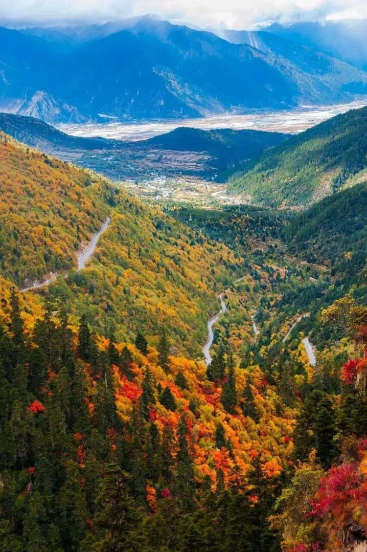 懂西藏的人，一定不會(huì)錯(cuò)過(guò)林芝的秋天