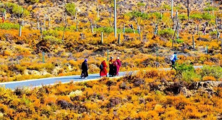 懂西藏的人，一定不會(huì)錯(cuò)過(guò)林芝的秋天