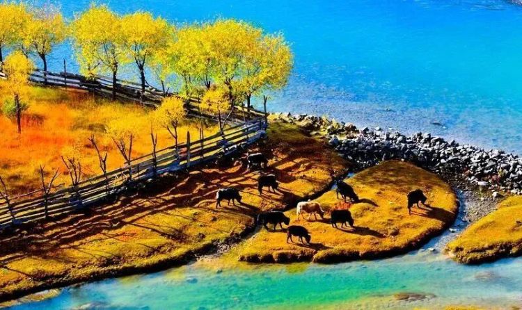 懂西藏的人，一定不會(huì)錯(cuò)過(guò)林芝的秋天