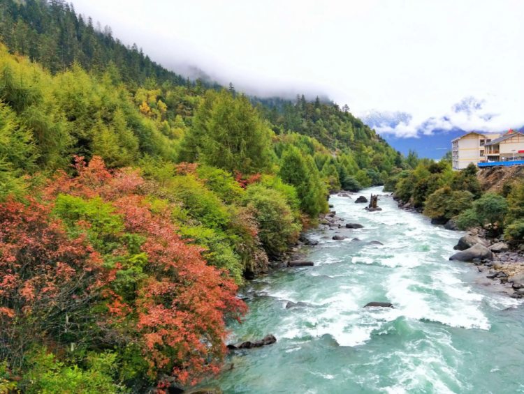 懂西藏的人，一定不會(huì)錯(cuò)過(guò)林芝的秋天