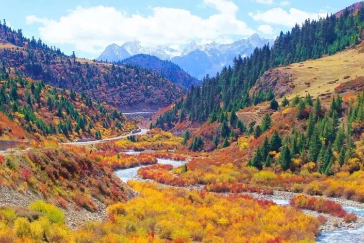 懂西藏的人，一定不會(huì)錯(cuò)過(guò)林芝的秋天