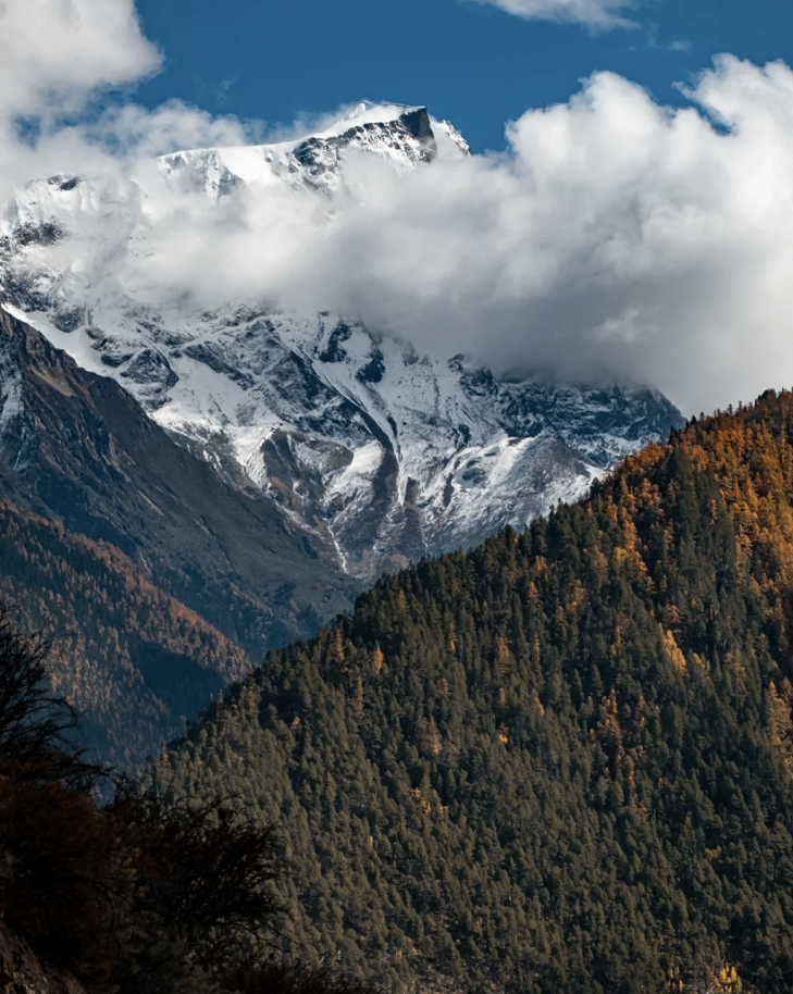 懂西藏的人，一定不會(huì)錯(cuò)過(guò)林芝的秋天