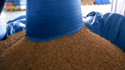 青稞“蛻變”，牦?！俺鋈Α?！看西藏農(nóng)牧民的“十四五”豐收答卷