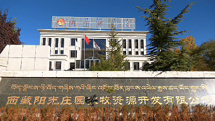 青稞“蛻變”，牦牛“出圈”！看西藏農(nóng)牧民的“十四五”豐收答卷